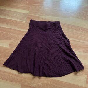Ann Taylor Knit Pleated Skirt